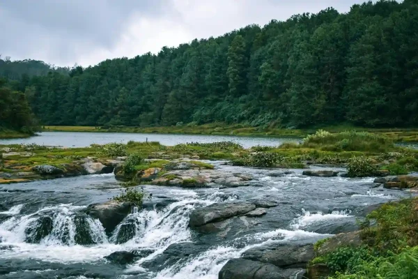 ooty_river